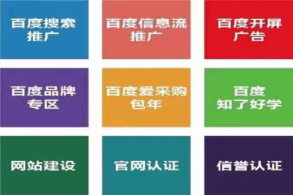 成功案例：信息流广告投放公司的创意与执行